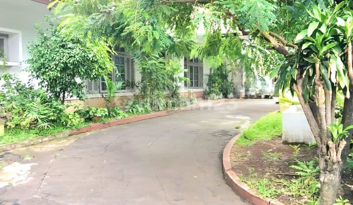 Rumah Murah Hanya Hitung Tanah Siap Huni Area Senopati Tulodong