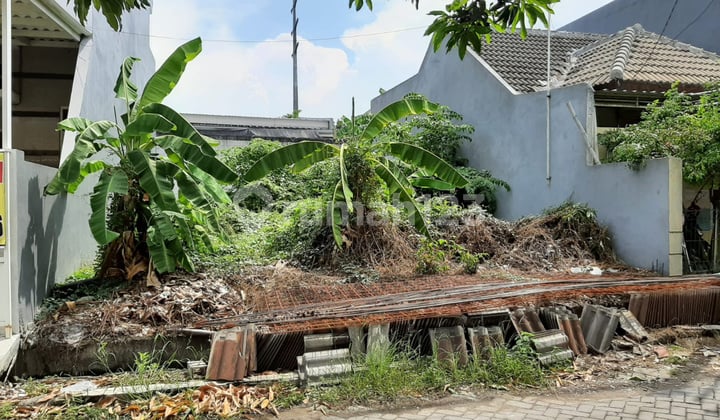 For Sale Freehold Land Marina Emas Earth Keputih Surabaya