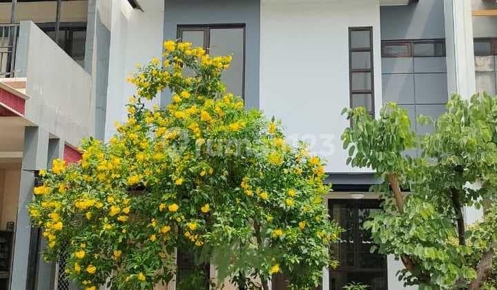 Kireina Park BSD City