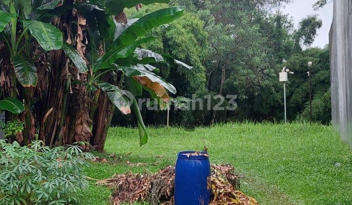 sell lots near latinos bsd