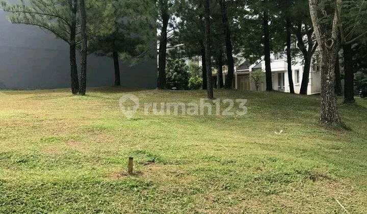 Blossom Ville Hoek The Green Bsd Blossom Ville Hoek The Green Bsd