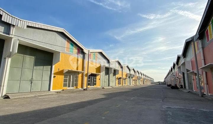 Flash Sale Gudang Bumi Benowo Surabaya Ready 2 Unit Baru Gress Jauh Dibawah Harga Developer Bisa Kpg