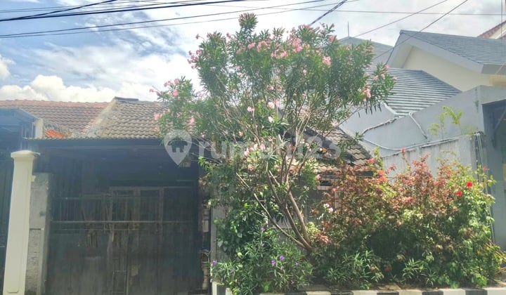 Flash Sale Hitung Tanah - Lokasi Jalan Utama Rumah Siap Huni Wiguna Surabaya Timur