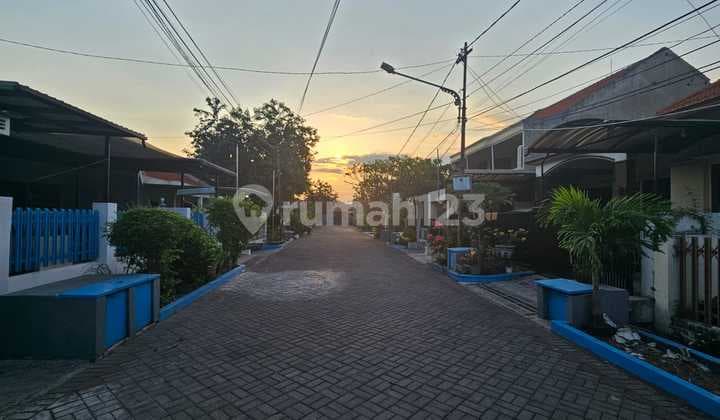 Siap Huni Bebas Banjir Rumah Tenggilis Mejoyo Surabaya 10x20 Bagus Terawat Bebas Banjir Murah