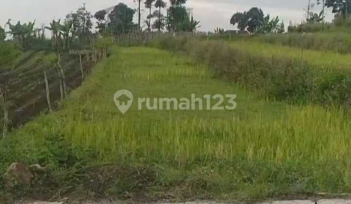 Cocok Utk Villa Resto Tanah Jalan Air Terjun Ketapanrame Trawas 771m2 Nol Jalan Beton Murah 1.75jt m2 nego