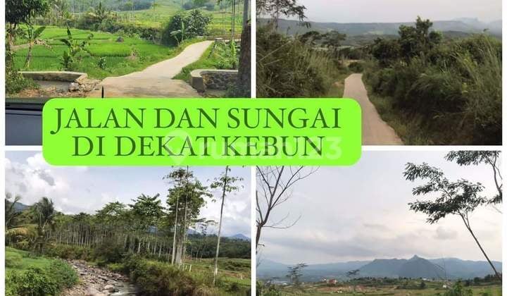 Jual Tanah 2 Ha Sukamakmur Bogor Timur Murah di Bawah Pasaran