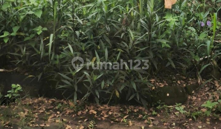 Puri Cinere Land 200M Price 9.8 Million/M2 SHGB, SHM in Process