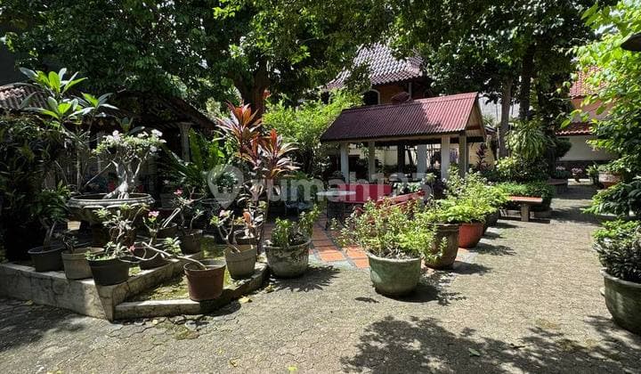 Rumah Hitung Tanah 3.300 M² Lokasi Strategis Condet Jakarta Timur