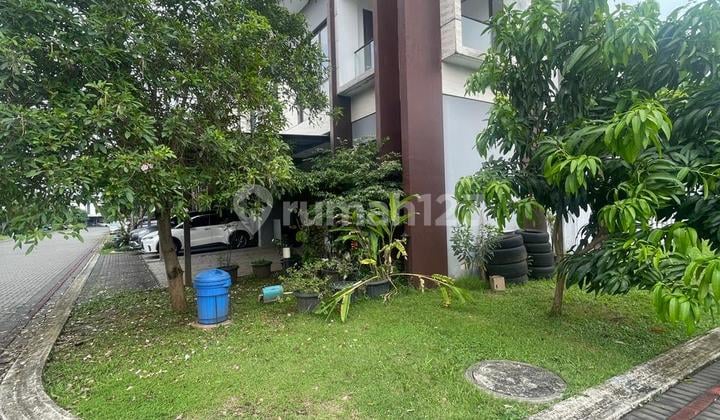 Super Rare Corner Cluster Amata The Mozia BSD City