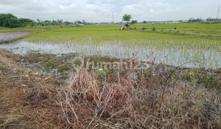 Disewakan /Jual Lokasi Dekat Belakang Airport Tanah Tanggerang Sanghiang Sepatan
