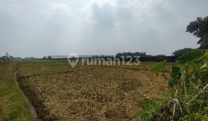 Dijual Lahan Industri Mojosari Kutorejo Mojokerto