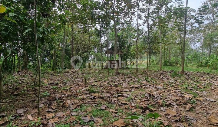 Dijual Tanah Akses 2 Mobil Di Dusun Kliris Boja Semarang