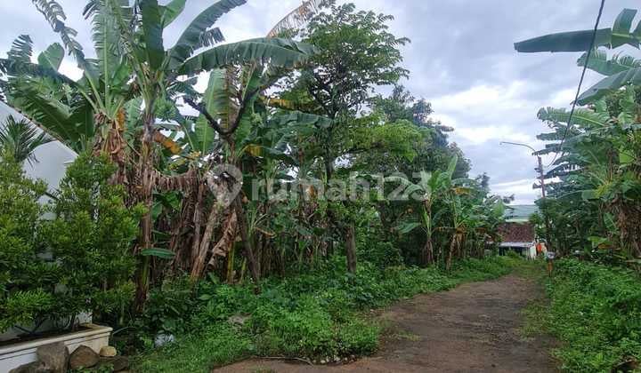 Dijual Tanah Di Salah Satu Perumahan Jl. Jangli Indah Semarang Dijual Tanah Di Salah Satu Perumahan Jl. Jangli Indah Semarang