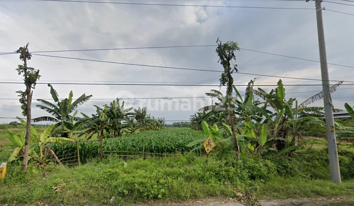 Dijual Tanah Siap Bangun Di Ds. Gubug Grobogan Dijual Tanah Siap Bangun Di Ds. Gubug Grobogan