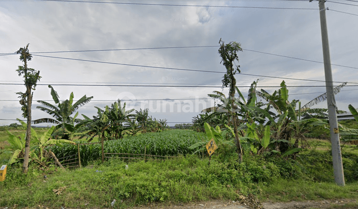 Dijual Tanah Siap Bangun Di Ds. Gubug Grobogan