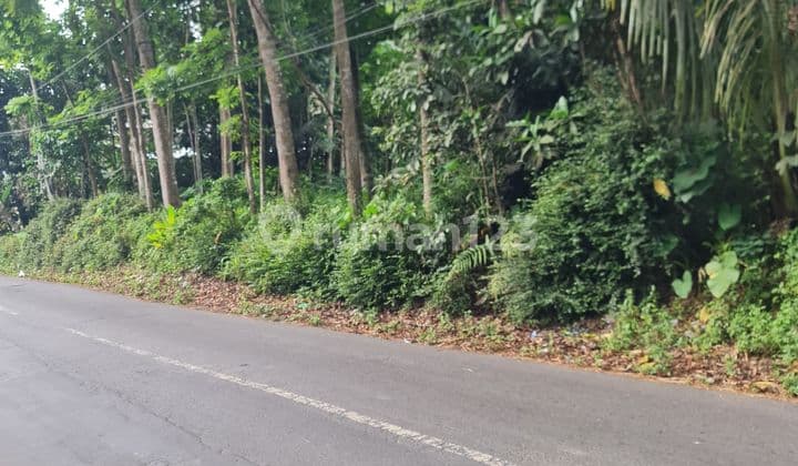 Dijual Tanah Cocok Untuk Dibangun Pabrik Di Tegalwaton Salatiga