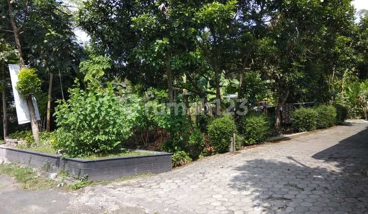 Dijual Tanah Luas Lokasi Jl. Magelang Yogyakarta