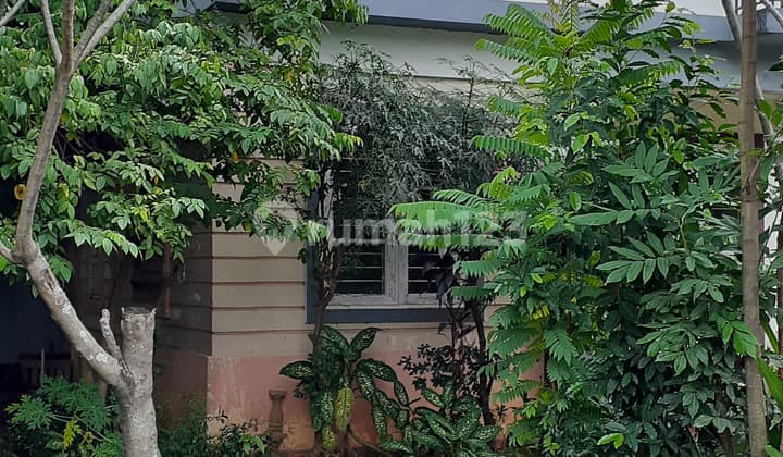 Murah dan luas tanahnya