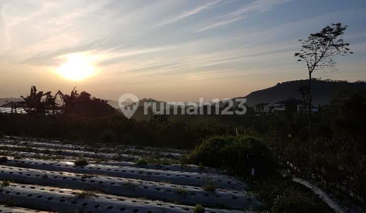 Kavling Cipanas Puncak View Gunung Lembah, Cipanas