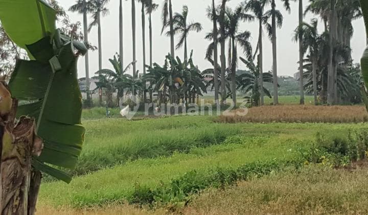 Tanah di Taman Semanan, Jakarta Barat SHM 12.105 m²