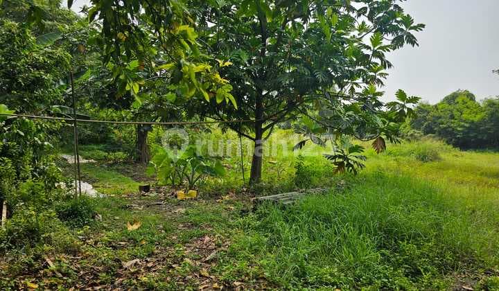 Disewa Tanah di KH. Hasyim Ashari Cipondoh (bisa gandeng 4)