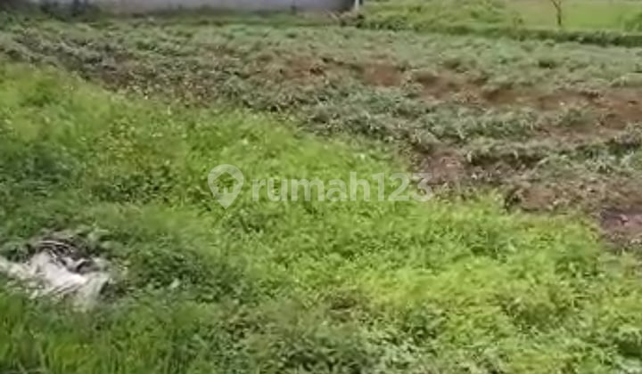 Tanah 600m2 Utk Kos Mewah Dkt Unpad Jatinangor
