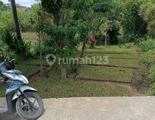 tanah 100m2 shm di gerlong permai syp setiabudi