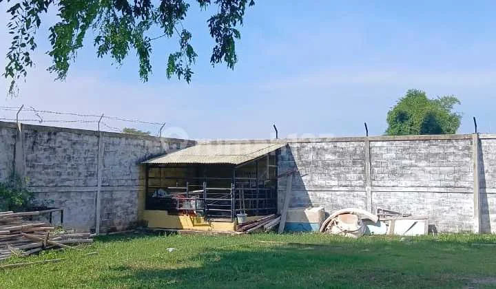 Dijual Kavling Bawa Kebahagiaan di Sukapura Jakarta Utara Dijual Kavling Bawa Kebahagiaan di Sukapura Jakarta Utara