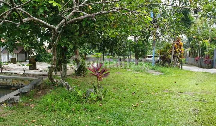 Dijual Tanah Ada Kolam Ikan Dan Taman di Bobosan, Purwokerto