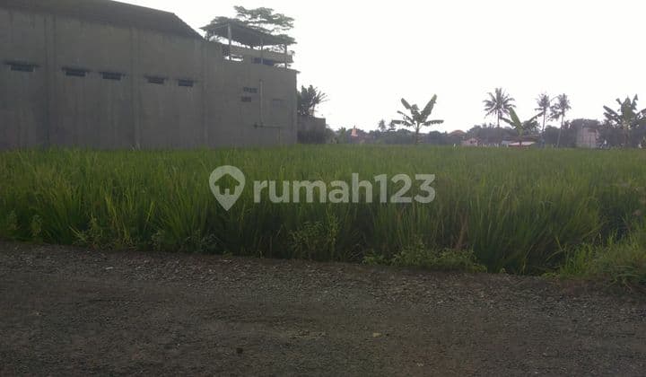 Dijual Tanah Luas Zona Komersil di Sokaraja