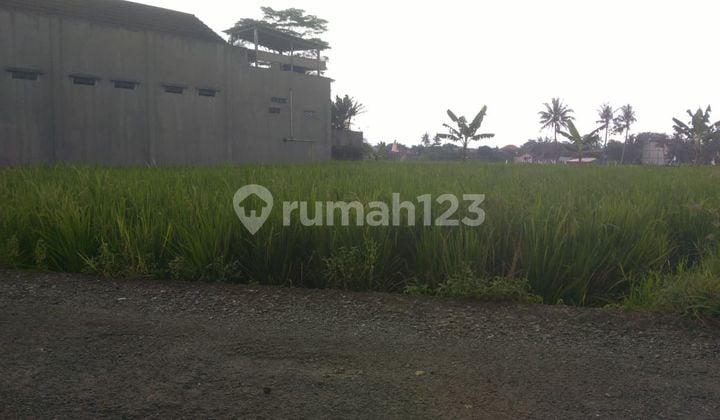 Dijual Tanah Luas Zona Komersil di Sokaraja