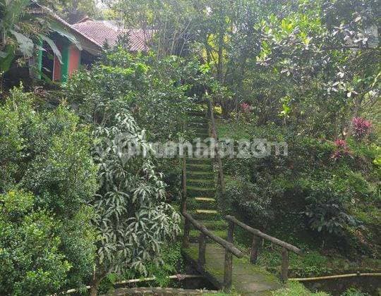 Land for Sale 1.5 Ha with SHM in Cihideung, Cijeruk Bogor