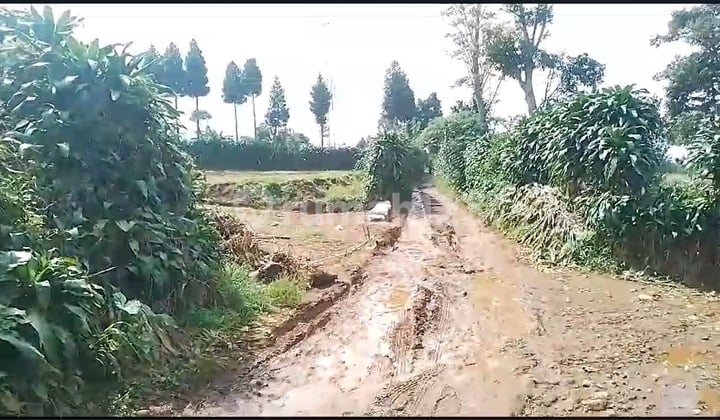 Jual Tanah SHM Cocok Untuk Argowisata di Sukaraja Sukabumi