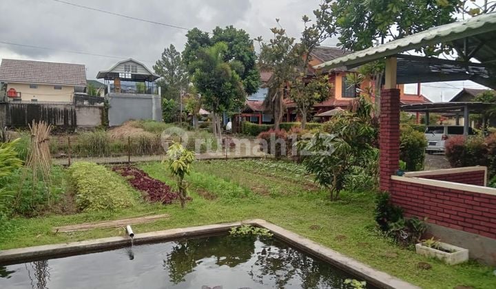 Dijual Tanah Kavling Sudah ada Kolam Ikan dan Gazebo di Cipanas