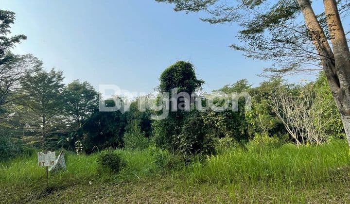 Tanah Kavling Murah Depan Taman Komplek Elite Bukit Cinere Indah
