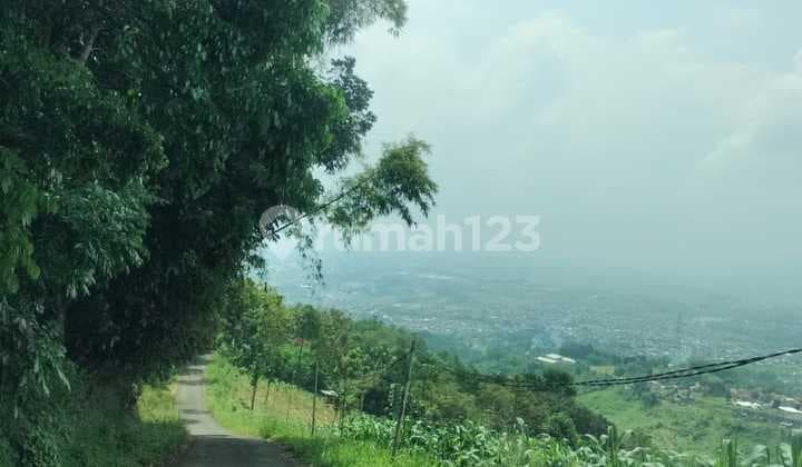 Tanah Lereng Pegunungan Pananjung Cangkuang Bandung Barat
