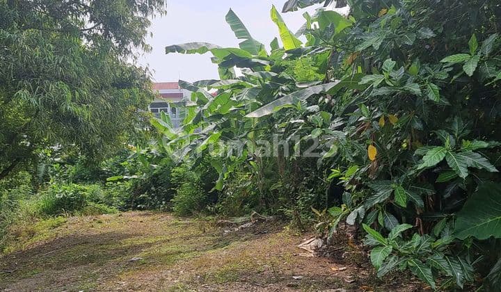Kavling Investasi Tabungan Masa Depan Cocok Pasangan Muda