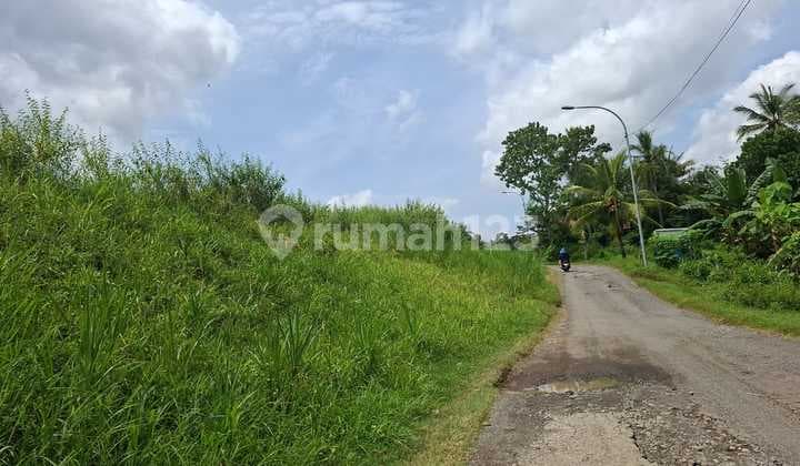 Tanah Pekarangan 500 Meter Dari Jalan Raya Utama Kulon Progo, Yogyakarta Cocok Untuk Resto, Guesthouse,villa.