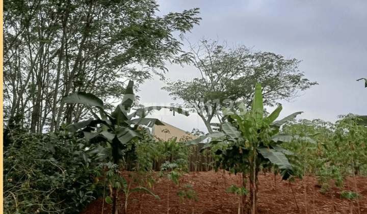 Dijual Kavling di Cluster Lembah Padi Perum Telaga Kahuripan Parung Bogor