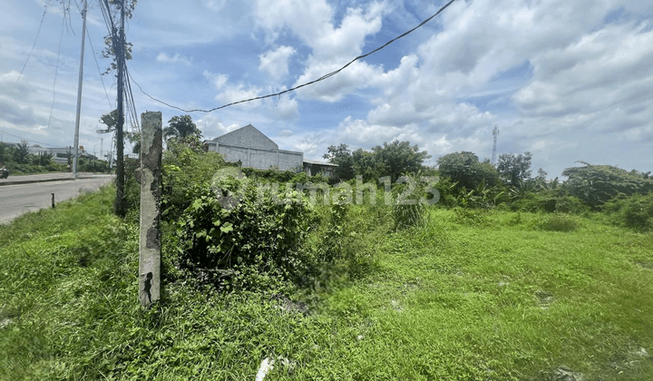 Dijual Cepat Tanah Luas Cocok untuk Usaha di Jalur Pantura, Cikampek