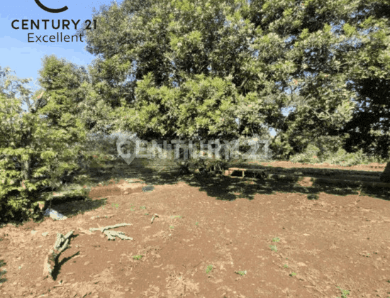 Dijual Turun Harga Dibawah Njop Kavling di Beji Depok