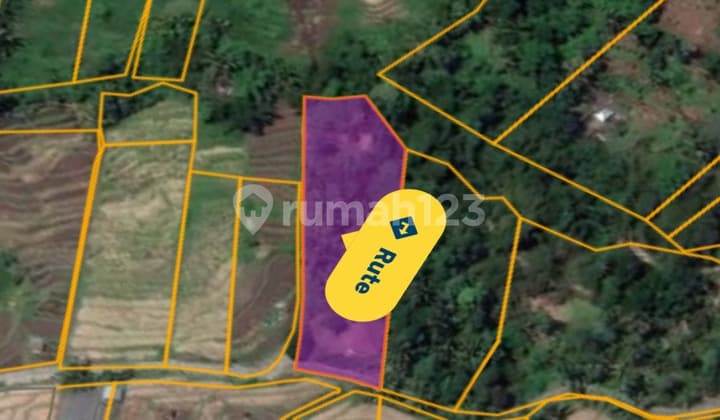 Tanah Di Penebel Pemandangan Sawah SHM - Sertifikat Hak Milik 25 Are