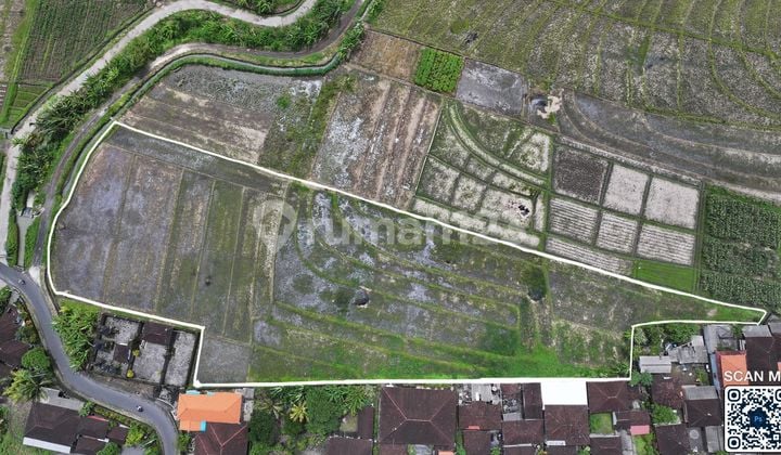 Land in Tibu Biu, Tabanan 61 is SHM - SHM