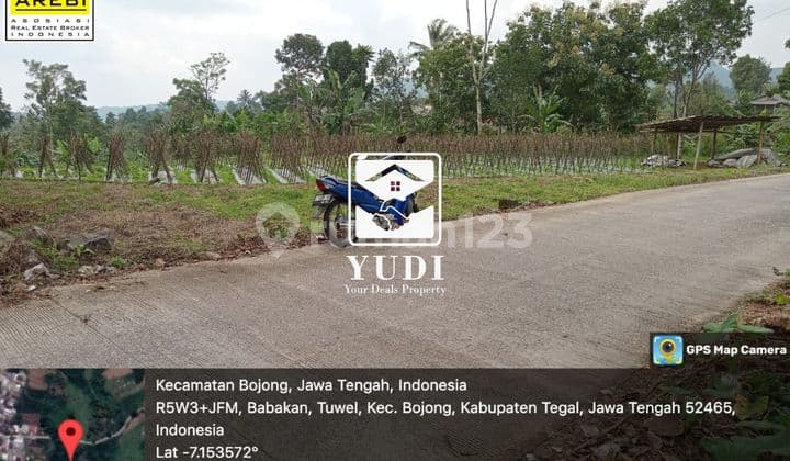 Tanah dekat Objek wisata Guci Tegal