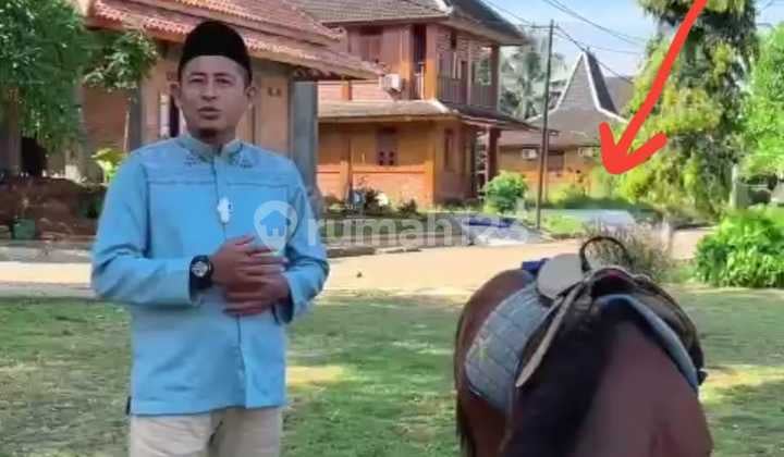 Tanah Di Ciampea Bogor Cocok Buat Invest