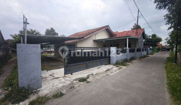 Disewakan Rumah Berhalaman Luas Di Palimanan Cocok Utk Dapur Mbg