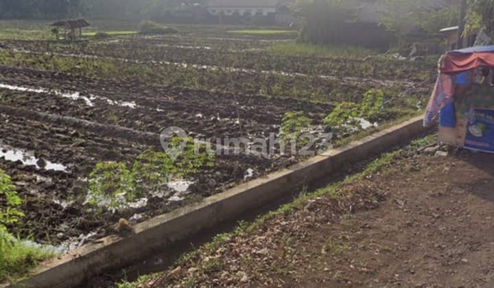 Sawah Strategis Di Pinggir Jalan Raya Kuningan Jawa Barat