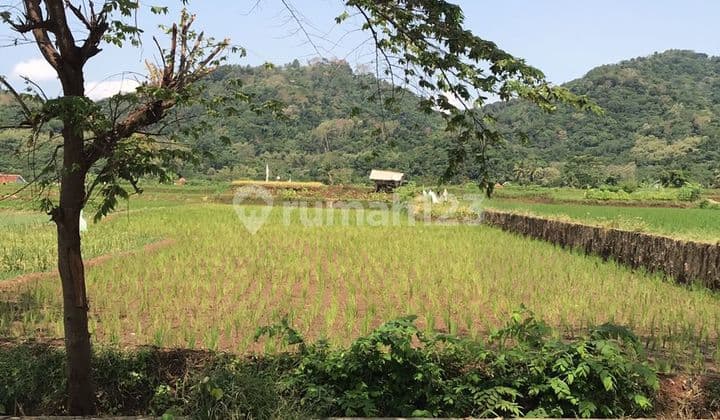 Sawah Lokasi Strategis Pinggir Jalan Raya Kramatwangi