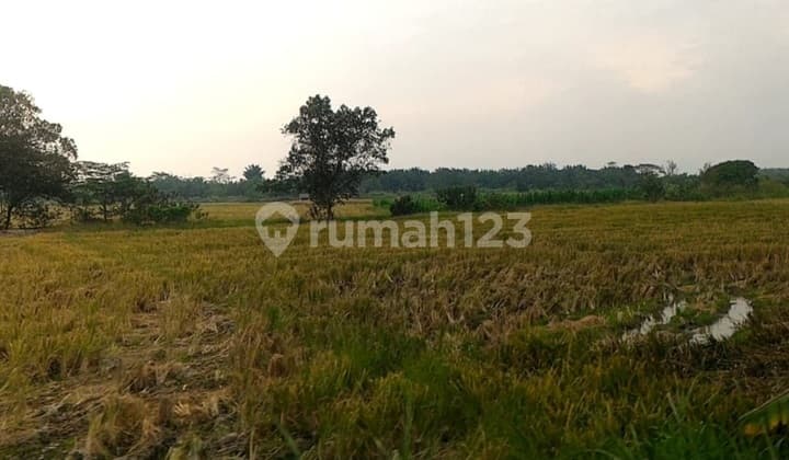 Lahan 10.7 Ha, SHM, di Bakaran Batu, Deli Serdang, Sumatera Utara