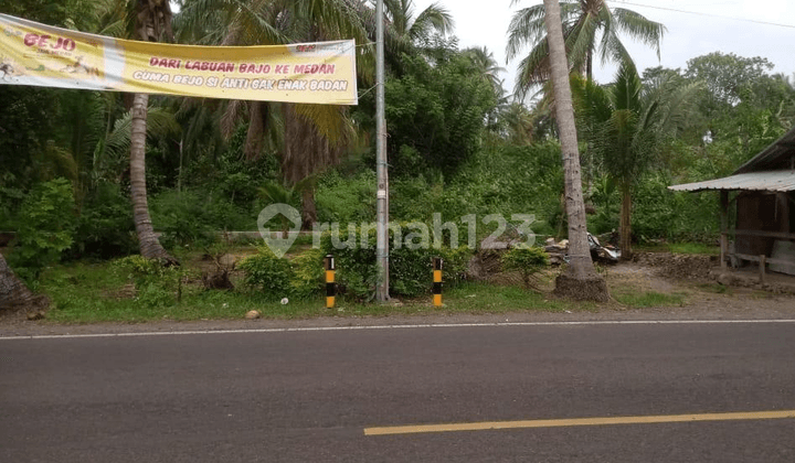 Jual Tanah Strategia Pinggir Jalan Raya Cinangka ,Anyer Banten